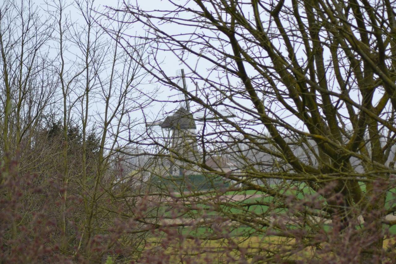 B&B Molenzicht Ninove Eksteriør bilde